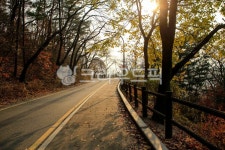남산, 산책, 산책로, 아스팔트, 도로, 사진,이미지,일러스트,캘리그라피 - imlover작가 크라우드픽 - 저작권 걱정 없는 상업용 이미지
