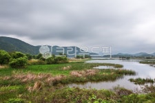 풍경, 식물, 경안천생태공원, 광주, 광주경안천, 사진,이미지,일러스트,캘리그라피 - 포타도작가 크라우드픽 - 저작권 걱정 없는 상업용 이미지