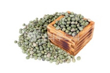 콩, 대두, 서리태, 청태, 청서리태, 사진,이미지,일러스트,캘리그라피 - 톤앤코드작가 크라우드픽 - 저작권 걱정 없는 상업용 이미지