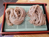 메밀, 메밀쿡수, 메밀한판, 모밀, 모밀국수, 사진,이미지,일러스트,캘리그라피 - 제제3515작가 크라우드픽 - 저작권 걱정 없는 상업용 이미지