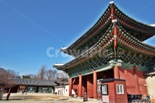 홍화문, 창경궁, 정문, 궁궐, 조선시대, 사진,이미지,일러스트,캘리그라피 - Deep bLUE작가 크라우드픽 - 저작권 걱정 없는 상업용 이미지
