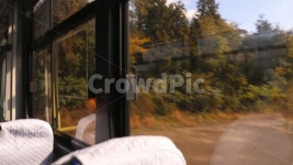 버스, 풍경, 창문, 나무, 숲, 사진,이미지,일러스트,캘리그라피 - Traseyeon작가 크라우드픽 - 저작권 걱정 없는 상업용 이미지