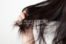 헤어, 헤어케어, 뷰티, 검정색, 관리, 사진,이미지,일러스트,캘리그라피 - ddong작가 크라우드픽 - 저작권 걱정 없는 상업용 이미지