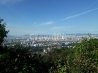 산, 산정상, 정상, 대모산정상, 정상배경, 사진,이미지,일러스트,캘리그라피 - sunhoh작가작가 크라우드픽 - 저작권 걱정 없는 상업용 이미지