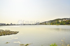 호수, 호수공원, 수변공원, 물, 건물, 사진,이미지,일러스트,캘리그라피 - photoyoon작가 크라우드픽 - 저작권 걱정 없는 상업용 이미지