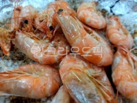 새우, 왕새우, 새우구이, 새우소금구이, 대하, 사진,이미지,일러스트,캘리그라피 - Nheemangplus작가 크라우드픽 - 저작권 걱정 없는 상업용... 