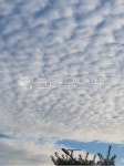구름, 하늘, 양떼구름, sky, cloud, 사진,이미지,일러스트,캘리그라피 - alsrudwjddoli작가 크라우드픽 - 저작권 걱정 없는 상업용 이미지