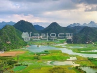 산천자연의학연구소 | field, 들, nature, 자연, 산천, 사진,이미지,일러스트,캘리그라피 - 꽃뿐씨작가 크라우드픽 - 저작권 걱정 없는 상업용 이미지