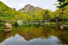 nature, 자연, outdoors, 옥외, 장성백양사, 사진,이미지,일러스트,캘리그라피 - 영산공작가 크라우드픽 - 저작권 걱정 없는 상업용 이미지