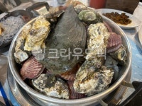 조개찜, 조개, 가리비, 굴, 석회, 사진,이미지,일러스트,캘리그라피 - Nliaca작가 크라우드픽 - 저작권 걱정 없는 상업용 이미지