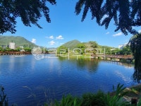 화창한오후, 연못, 산책길, 우리동네, 호수, 사진,이미지,일러스트,캘리그라피 - 홀롤롤롤작가 크라우드픽 - 저작권 걱정 없는 상업용 이미지