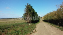 시골, 오솔길, 농장, 도로, 평야, 사진,이미지,일러스트,캘리그라피 - Nlee_want_u작가 크라우드픽 - 저작권 걱정 없는 상업용 이미지