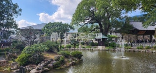 nature, 자연, outdoors, 옥외, pond, 사진,이미지,일러스트,캘리그라피 - 뽀까작가 크라우드픽 - 저작권 걱정 없는 상업용 이미지