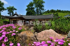 garden, 정원, nature, 자연, outdoors, 사진,이미지,일러스트,캘리그라피 - 영산공작가 크라우드픽 - 저작권 걱정 없는 상업용 이미지