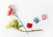 실, 실타래, 굵은실, 꽃, 하트, 사진,이미지,일러스트,캘리그라피 - 오늘도맑음작가 크라우드픽 - 저작권 걱정 없는 상업용 이미지