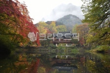 장성백양사백학봉, 명승제38호, 대한8경, 전남, 장성, 사진,이미지,일러스트,캘리그라피 - 행복신작가 크라우드픽 - 저작권 걱정 없는 상업용 이미지