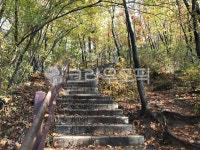 등산로, 산, 단풍, 등산, 낙옆, 사진,이미지,일러스트,캘리그라피 - 서로상어질인작가 크라우드픽 - 저작권 걱정 없는 상업용 이미지