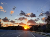 outdoors, 옥외, nature, 자연, 햇빛, 사진,이미지,일러스트,캘리그라피 - Nj020501작가 크라우드픽 - 저작권 걱정 없는 상업용 이미지