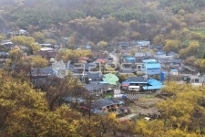 nature, 자연, outdoors, 옥외, 구례산동산수유마을, 사진,이미지,일러스트,캘리그라피 - 영산공작가 크라우드픽 - 저작권 걱정 없는 상업용... 