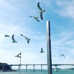 바다, 여름, 시원함, 모리셔스, 휴가, 사진,이미지,일러스트,캘리그라피 - Nkubby159작가 크라우드픽 - 저작권 걱정 없는 상업용 이미지