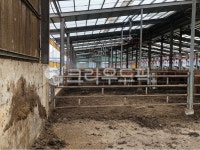 목장, 우사, 농장, 퇴비사, 소, 사진,이미지,일러스트,캘리그라피 - 민윤아빠작가 크라우드픽 - 저작권 걱정 없는 상업용 이미지