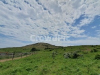 구름, 오름, 용눈이, 제주, 하늘, 사진,이미지,일러스트,캘리그라피 - 솲양작가 크라우드픽 - 저작권 걱정 없는 상업용 이미지