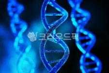 dna, 바이오, 생명공학, 유전공학, 유전자, 사진,이미지,일러스트,캘리그라피 - MeshCube작가 크라우드픽 - 저작권 걱정 없는 상업용 이미지