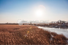 갈대, 순천만, 습지, 갈대밭, 갯벌, 사진,이미지,일러스트,캘리그라피 - Nshowkyoung작가 크라우드픽 - 저작권 걱정 없는 상업용 이미지