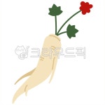 인삼, 일러스트, 한의원, 한약, 건강, 사진,이미지,일러스트,캘리그라피 - 삼월하루작가 크라우드픽 - 저작권 걱정 없는 상업용 이미지