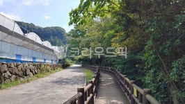 제주도, 서귀포, 엉또폭포, 길, 풍경, 사진,이미지,일러스트,캘리그라피 - kexiar작가 크라우드픽 - 저작권 걱정 없는 상업용 이미지