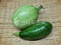 호박, 식재료, 음식재료, 애호박, 바구니, 사진,이미지,일러스트,캘리그라피 - 네모유작가 크라우드픽 - 저작권 걱정 없는 상업용 이미지