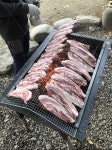 야외바베큐, 삼겹살, 돼지고기, 바베큐파티, pig, 사진,이미지,일러스트,캘리그라피 - 포도그래퍼작가 크라우드픽 - 저작권 걱정 없는 상업용 이미지