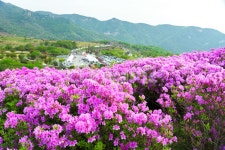 황매산, 경남관광, 합천군, 산청군, 철쭉제, 사진,이미지,일러스트,캘리그라피 - 운강작가 크라우드픽 - 저작권 걱정 없는 상업용 이미지