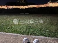 혼자, 수원, 야간, 산책, 신발류, 사진,이미지,일러스트,캘리그라피 - Gaeko82작가 크라우드픽 - 저작권 걱정 없는 상업용 이미지