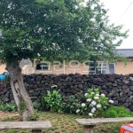 마당, 자연, 나무, 돌담, 쉼터, 사진,이미지,일러스트,캘리그라피 - 모모무무작가 크라우드픽 - 저작권 걱정 없는 상업용 이미지