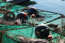 바다, 해변, 망, 풍경, 구체, 사진,이미지,일러스트,캘리그라피 - diekorea57작가 크라우드픽 - 저작권 걱정 없는 상업용 이미지