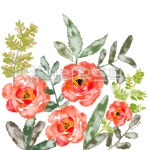 따뜻한, 꽃, 사랑스런, 예쁜, 감성그림, 사진,이미지,일러스트,캘리그라피 - cherryjeny작가 크라우드픽 - 저작권 걱정 없는 상업용 이미지