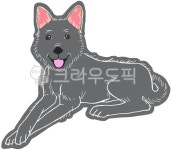 진돗개, 진도개, 개, 강아지, 시골강아지, 사진,이미지,일러스트,캘리그라피 - 호롱불작가 크라우드픽 - 저작권 걱정 없는 상업용 이미지