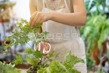 소상공인, 플로리스트, 비즈니스, 상인, 상점, 사진,이미지,일러스트,캘리그라피 - ddong작가 크라우드픽 - 저작권 걱정 없는 상업용 이미지