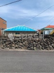 제주도, 제주, 돌담, 봄, 집, 사진,이미지,일러스트,캘리그라피 - photo92작가 크라우드픽 - 저작권 걱정 없는 상업용 이미지