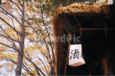 필름, 감성, 술, 주, 초가집, 사진,이미지,일러스트,캘리그라피 - hj_aj작가 크라우드픽 - 저작권 걱정 없는 상업용 이미지