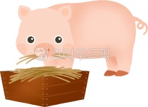 돼지, 돼지캐릭터, 돼지일러스트, 동물, 동물원, 사진,이미지,일러스트,캘리그라피 - 르디토스튜디오작가 크라우드픽 - 저작권 걱정 없는 상업용... 