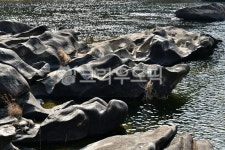 nature, 자연, outdoors, 옥외, 순창장군목유원지, 사진,이미지,일러스트,캘리그라피 - 영산공작가 크라우드픽 - 저작권 걱정 없는 상업용... 