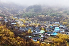 nature, 자연, outdoors, 옥외, 구례산동산수유마을, 사진,이미지,일러스트,캘리그라피 - 영산공작가 크라우드픽 - 저작권 걱정 없는 상업용... 