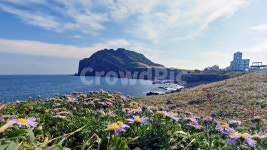 제주도, 성산일출봉, 바다, 자연, 풍경, 사진,이미지,일러스트,캘리그라피 - 190작가 크라우드픽 - 저작권 걱정 없는 상업용 이미지