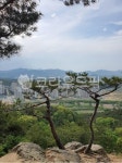 자연, 소나무, 풍경, 경치, 아파트, 사진,이미지,일러스트,캘리그라피 - 민이랑작가 크라우드픽 - 저작권 걱정 없는 상업용 이미지