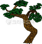 나무캐릭터, 나무일러스트, 소나무캐릭터, 소나무일러스트, 한국나무, 사진,이미지,일러스트,캘리그라피 - 크레용캐릭터작가 크라우드픽 - 저작권... 