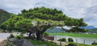 하늘, 자연, 나무, 호수, 쉼터, 사진,이미지,일러스트,캘리그라피 - Jihobak작가 크라우드픽 - 저작권 걱정 없는 상업용 이미지