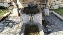 서울, 봉은사, 사원, 절, 약수, 사진,이미지,일러스트,캘리그라피 - Jean작가 크라우드픽 - 저작권 걱정 없는 상업용 이미지