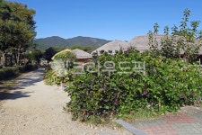 초가집, 낙안읍성, 순천낙안읍성, 사적지, 관광지, 사진,이미지,일러스트,캘리그라피 - Deep bLUE작가 크라우드픽 - 저작권 걱정 없는 상업용... 